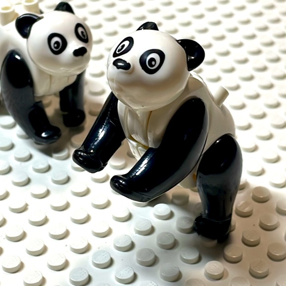 🐼 Panda - Picture 4 of 7